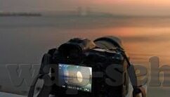 糖心vlog科普-糖心Vlog，科普的新鲜视角，让知识更甜